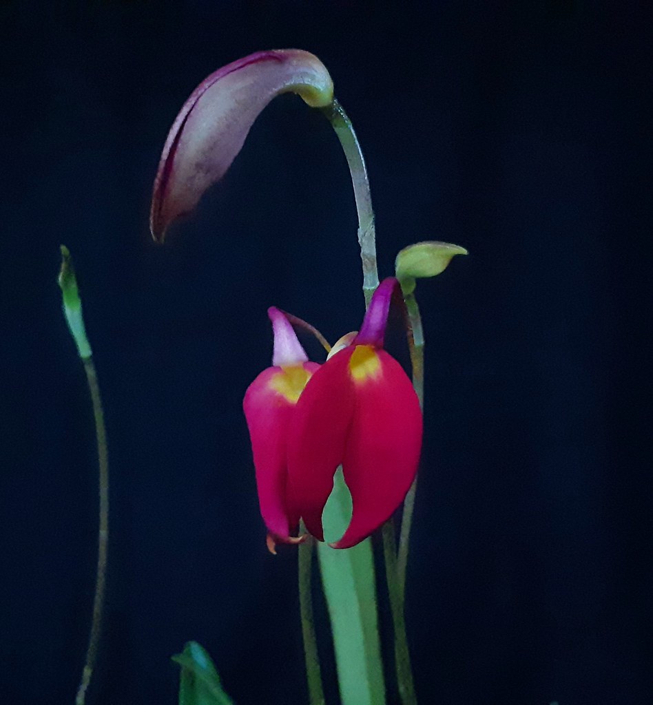 2020-05-24_04-54-18.jpg