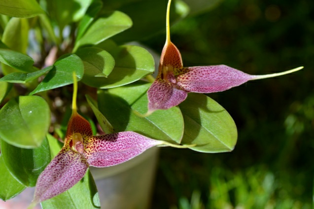 20201103_105236.jpg