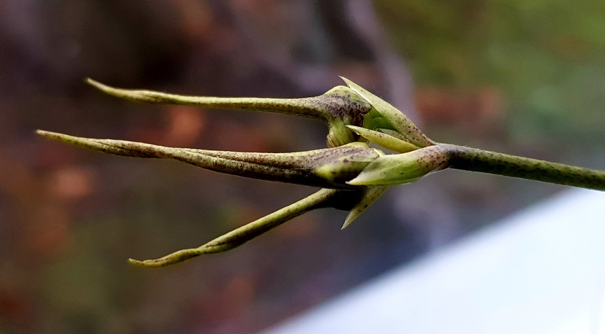 20191023_174116.jpg