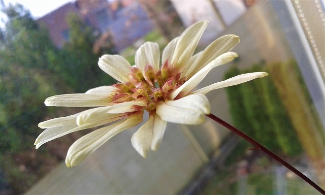 bulb1.jpg