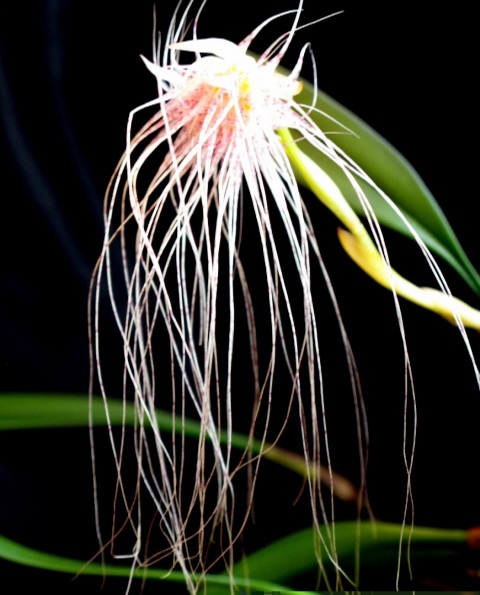 20201103_154213.jpg