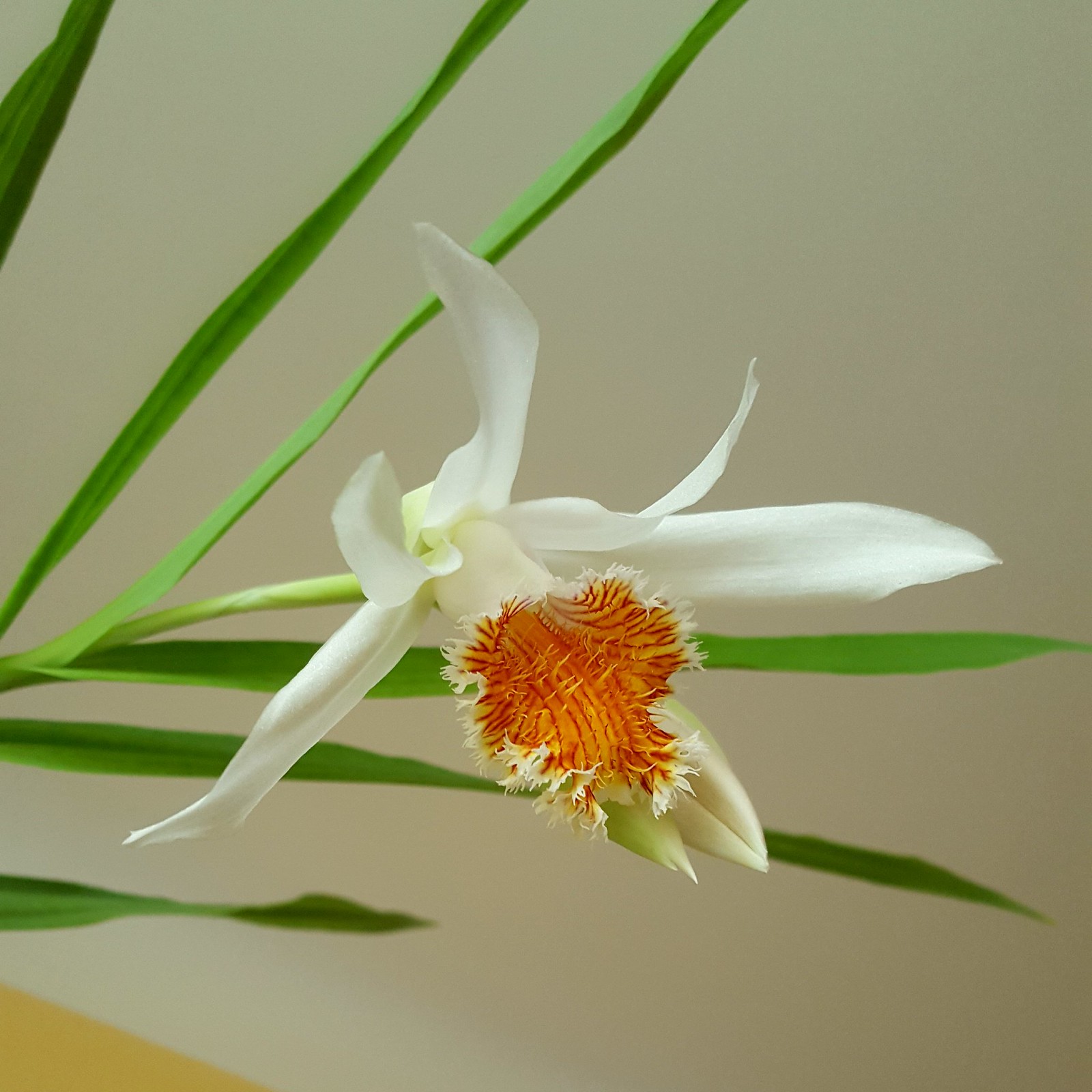 2019-05-12_12-52-13.jpg