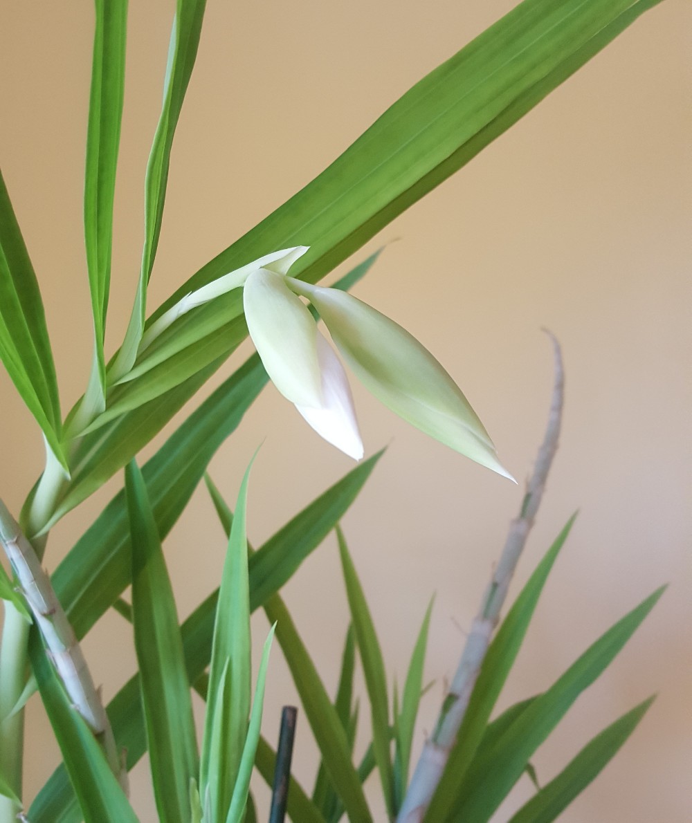 PicsArt_05-12-12.54.59.jpg