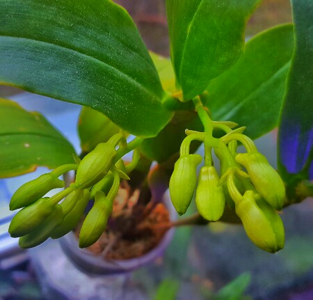 PicsArt_04-17-12.16.38.jpg