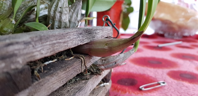 20181110_150217.jpg