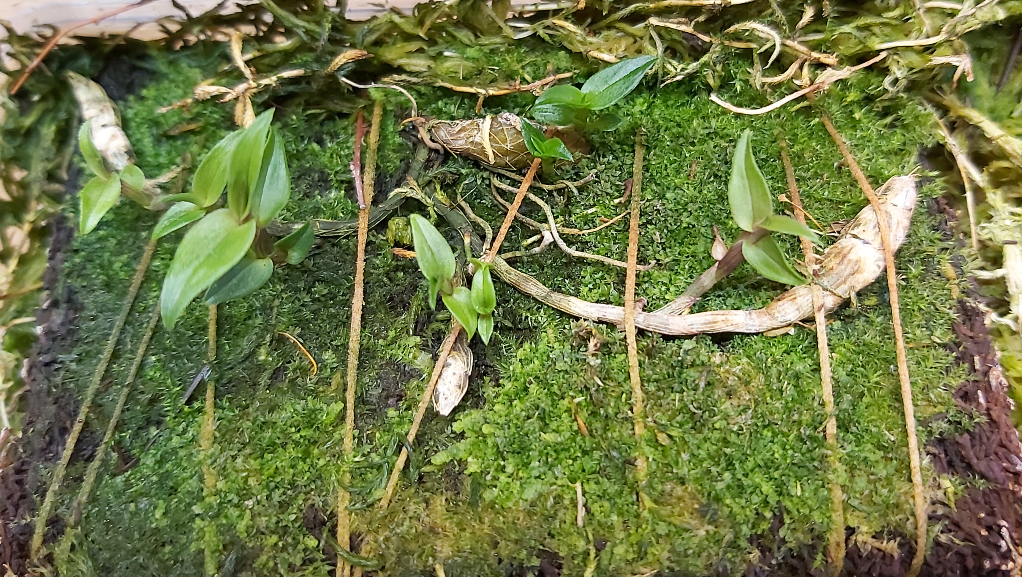 20201002_173230.jpg