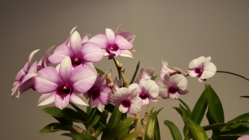 rps20161203_115753_262.jpg