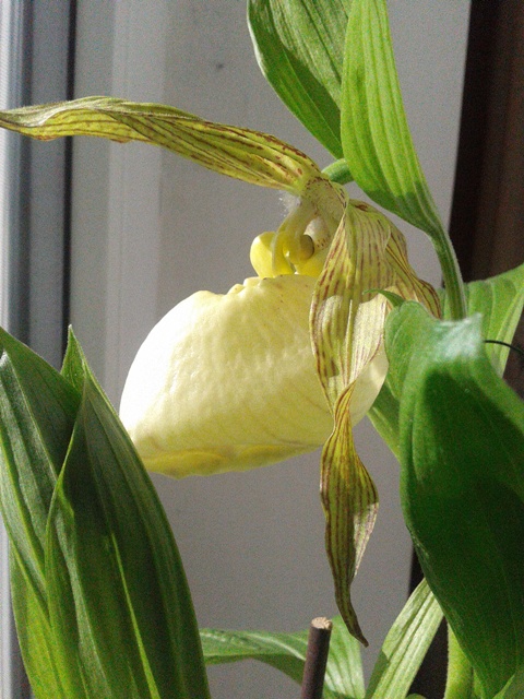 2013-05-08 17.56.48a.jpg