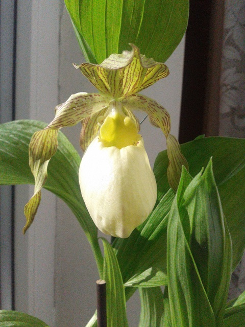 2013-05-08 17.57.02a.jpg