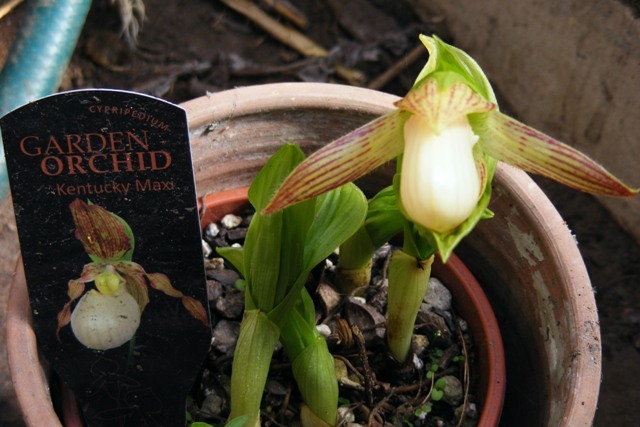 DSCF5763.JPG