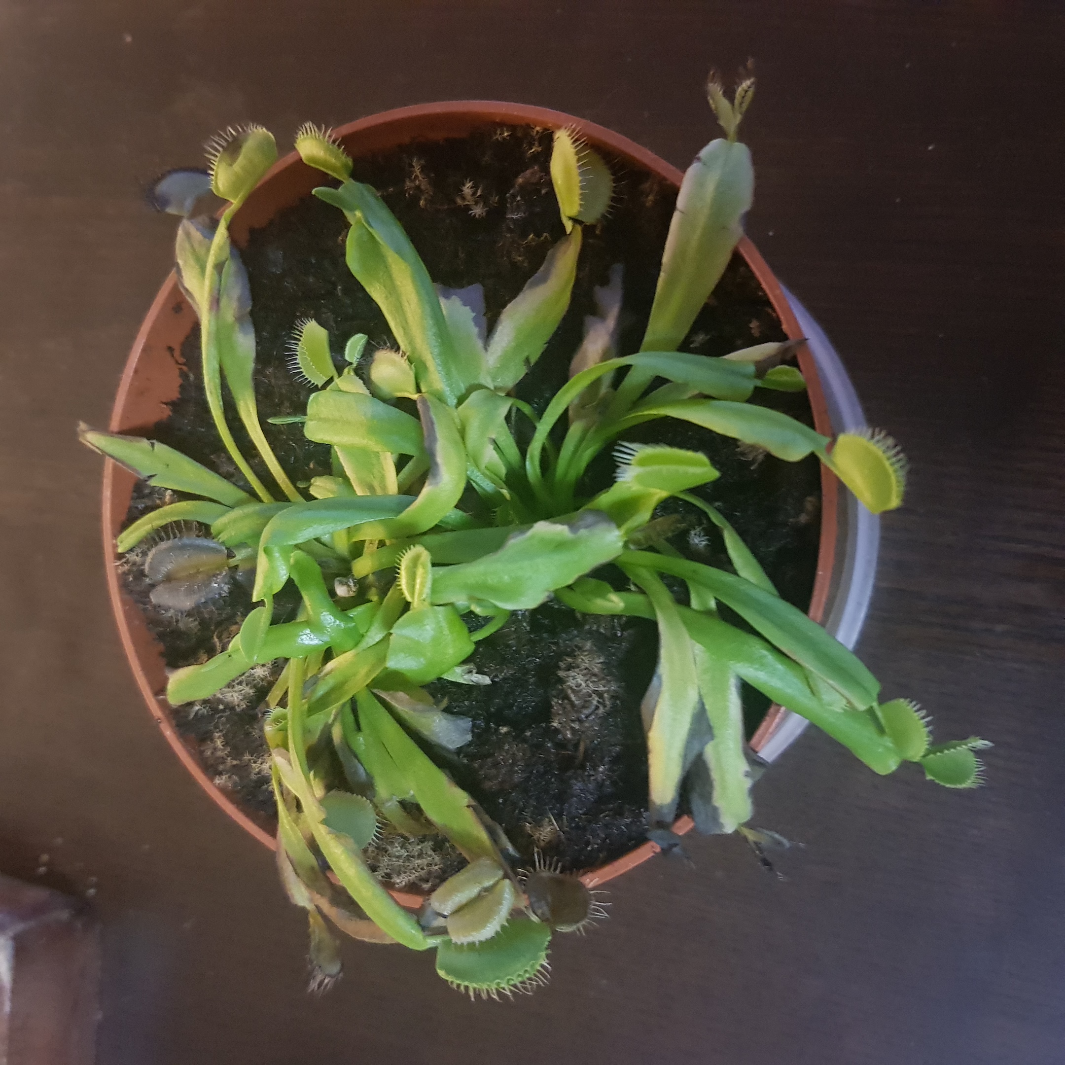 20190919_064855.jpg