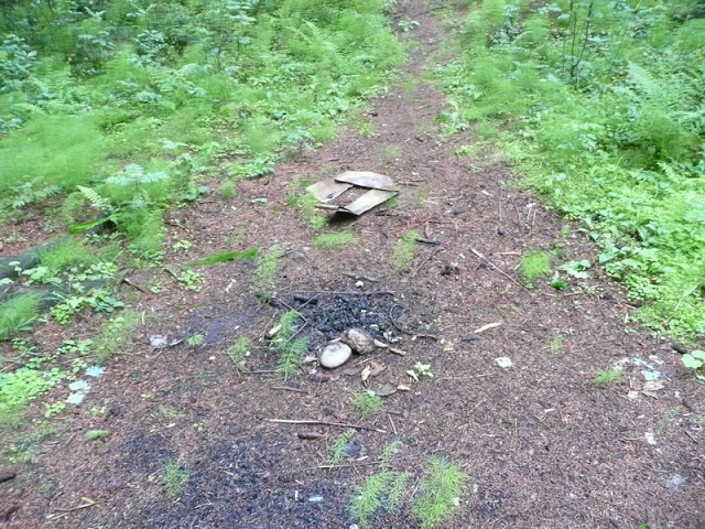 P1050485.JPG