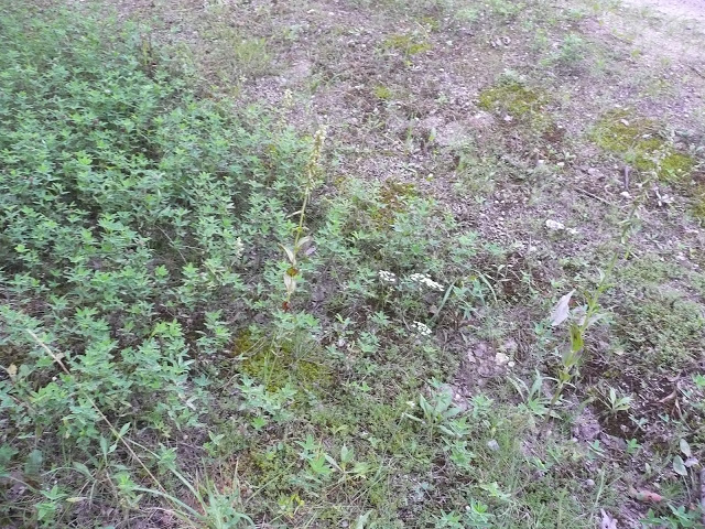 P1050548.JPG