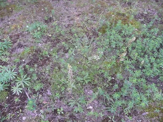 P1050551.JPG
