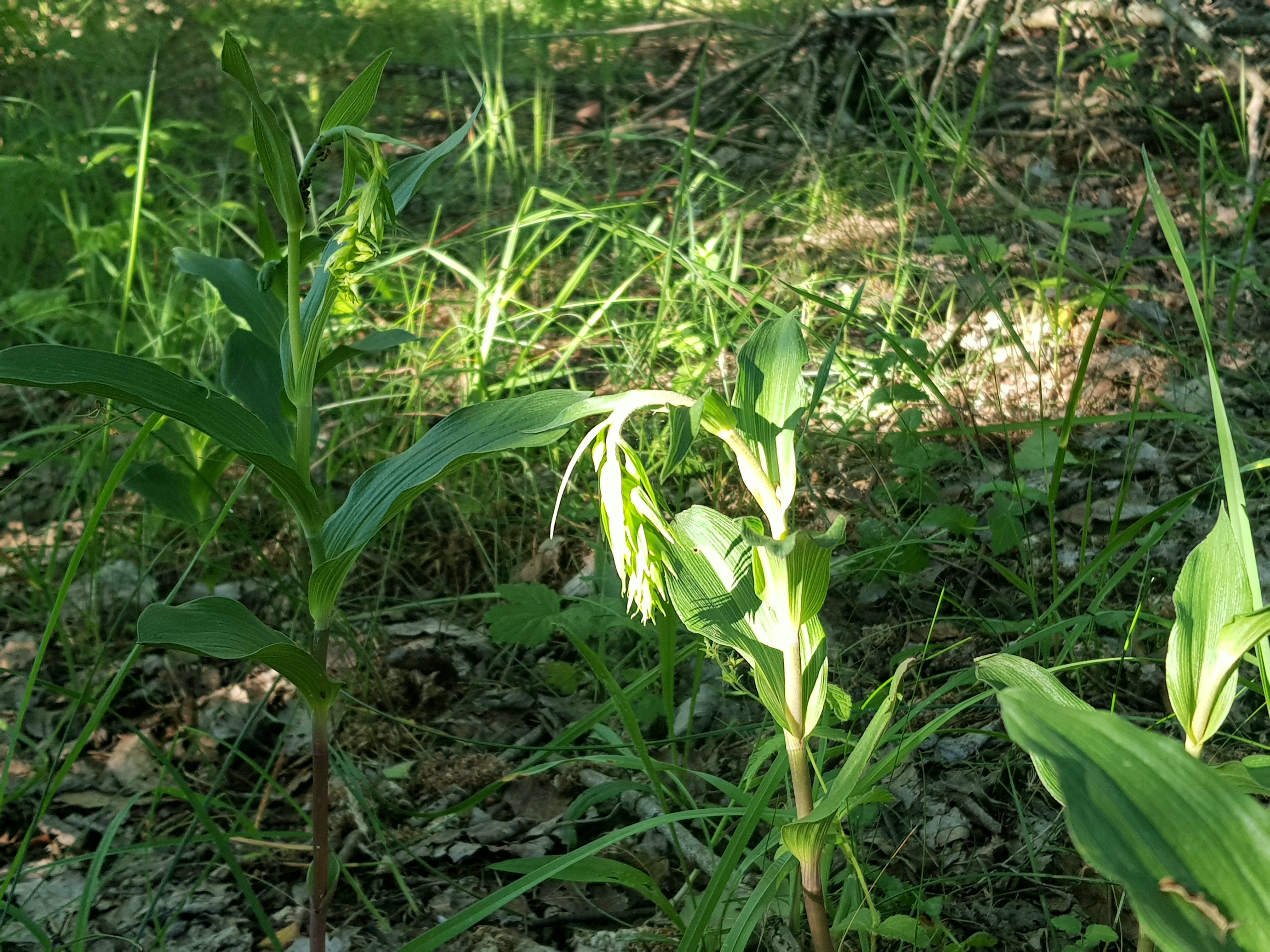 20190618_235647.jpg