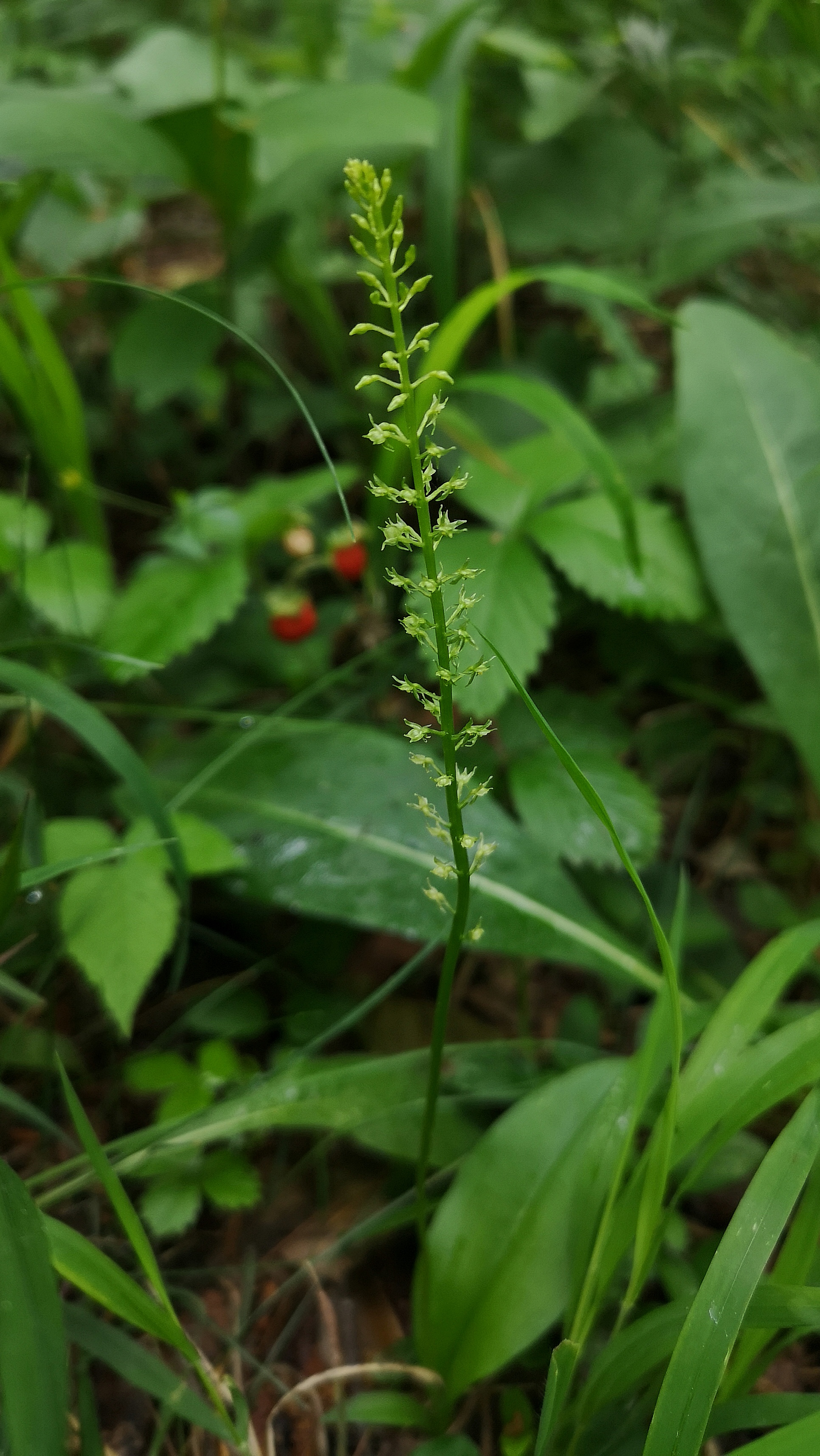 IMG_20190618_195932 - Copy.jpg