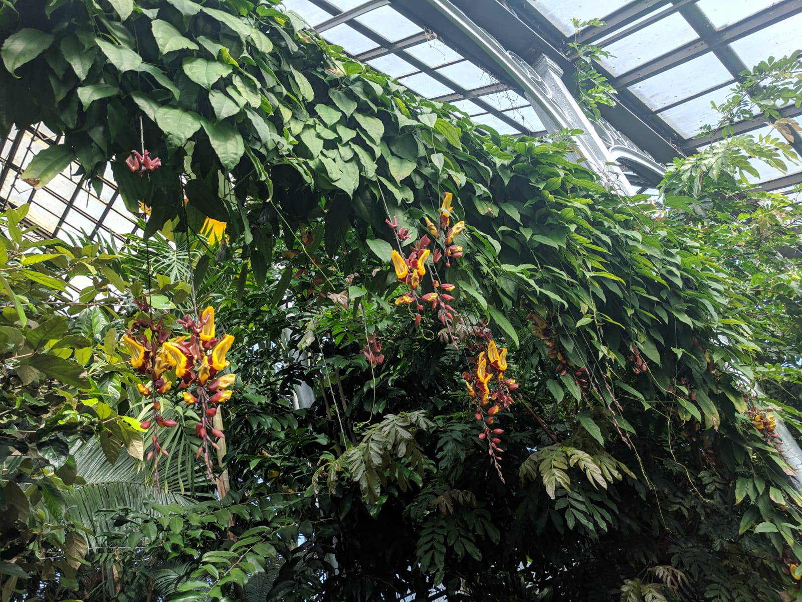 IMG-20190419-WA0006.jpg