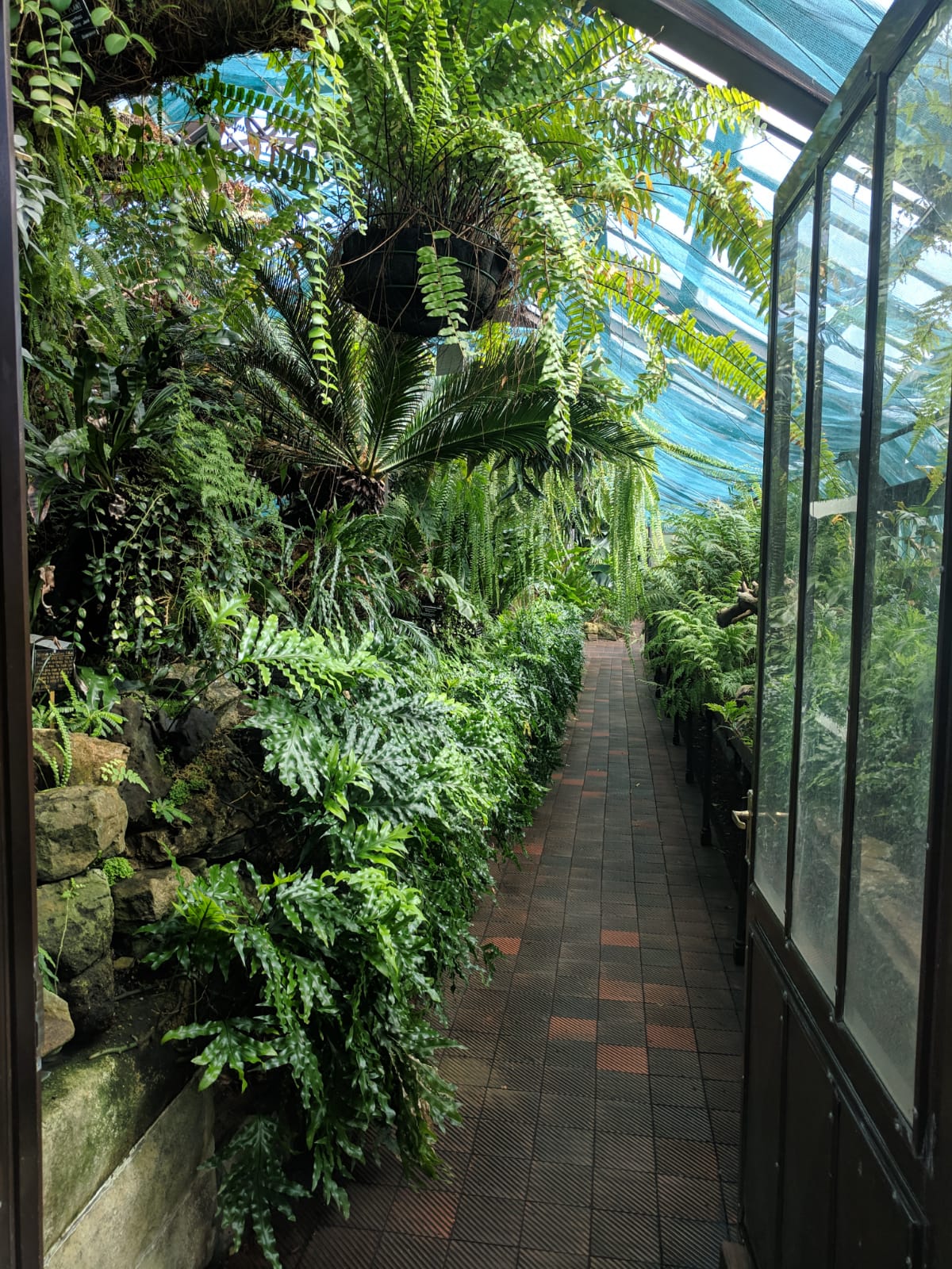 IMG-20190419-WA0005.jpg