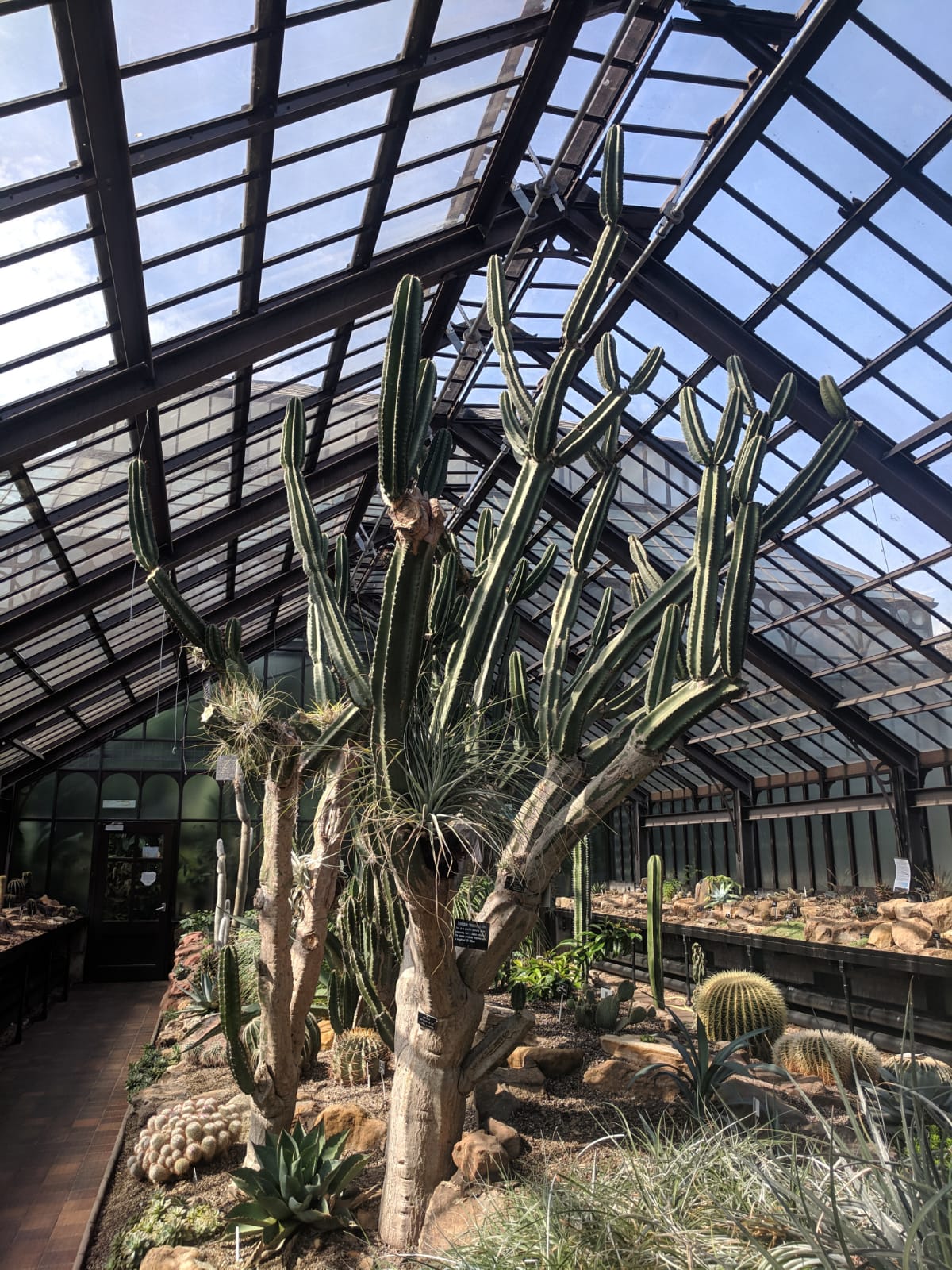 IMG-20190419-WA0002.jpg