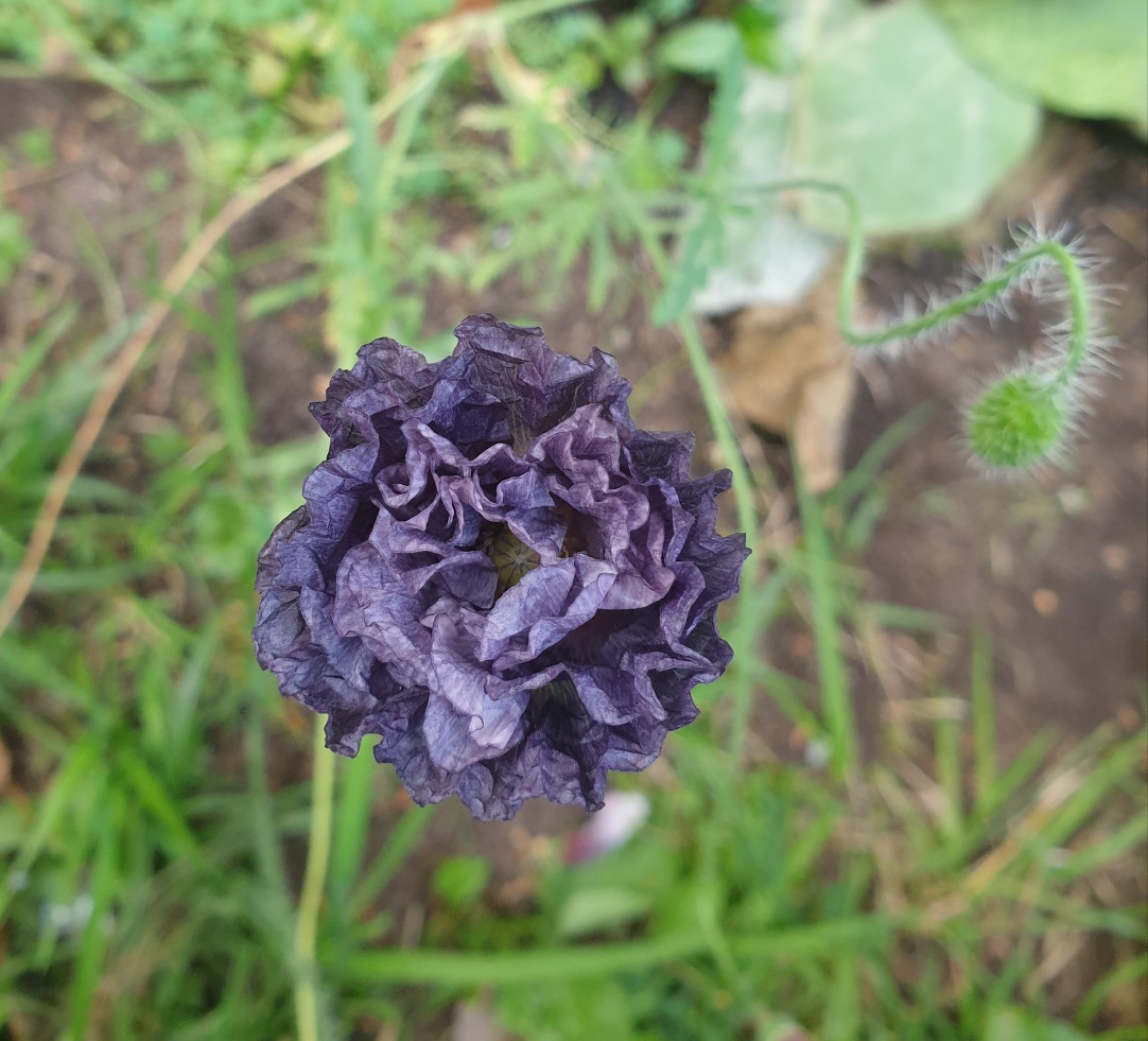 20201010_111701.jpg