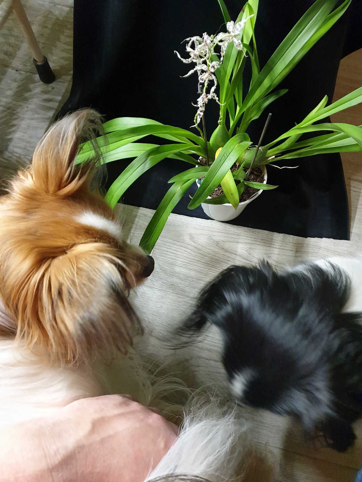 20201113_214032.jpg