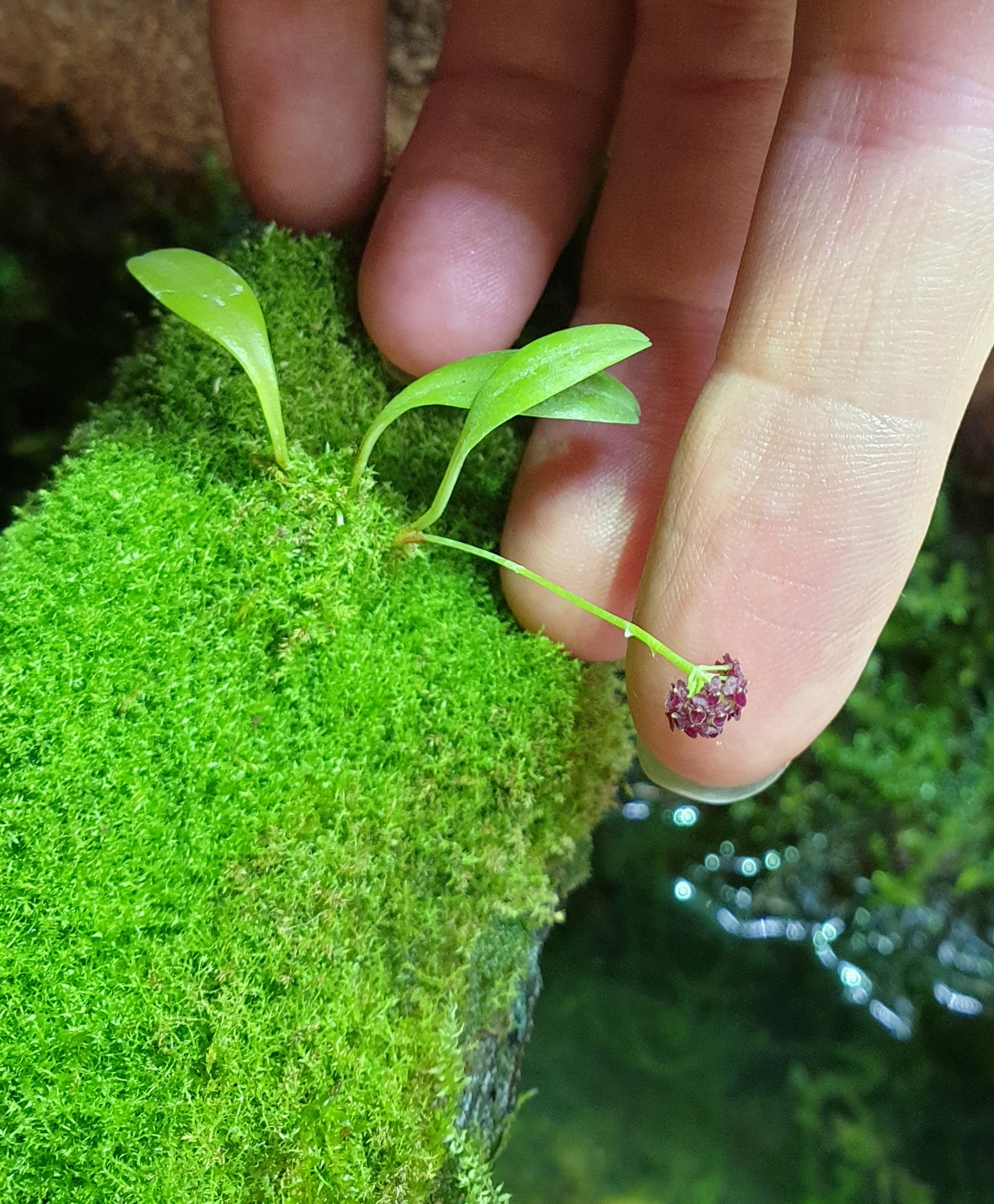 20201110_175834.jpg