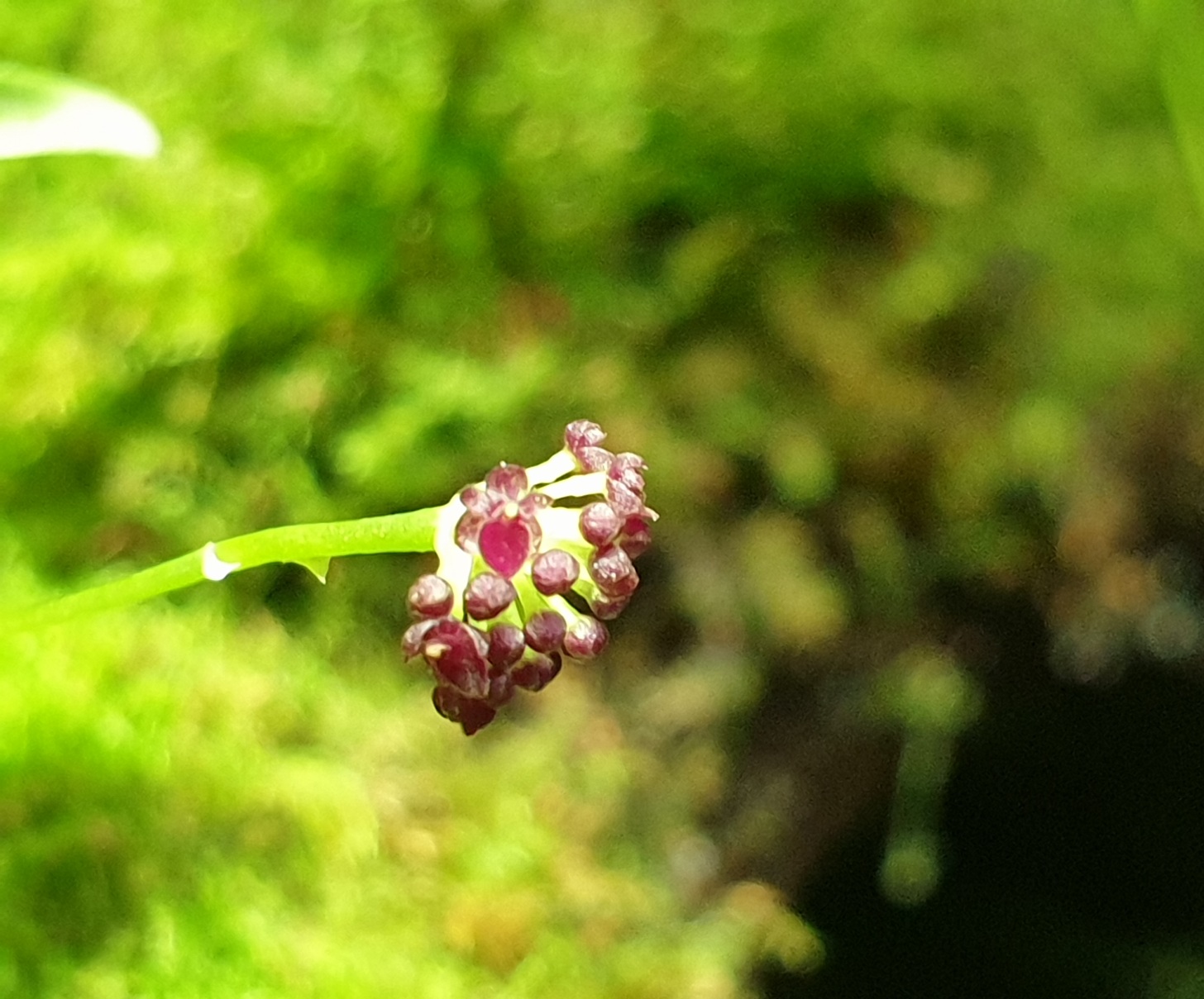 20201117_103814.jpg