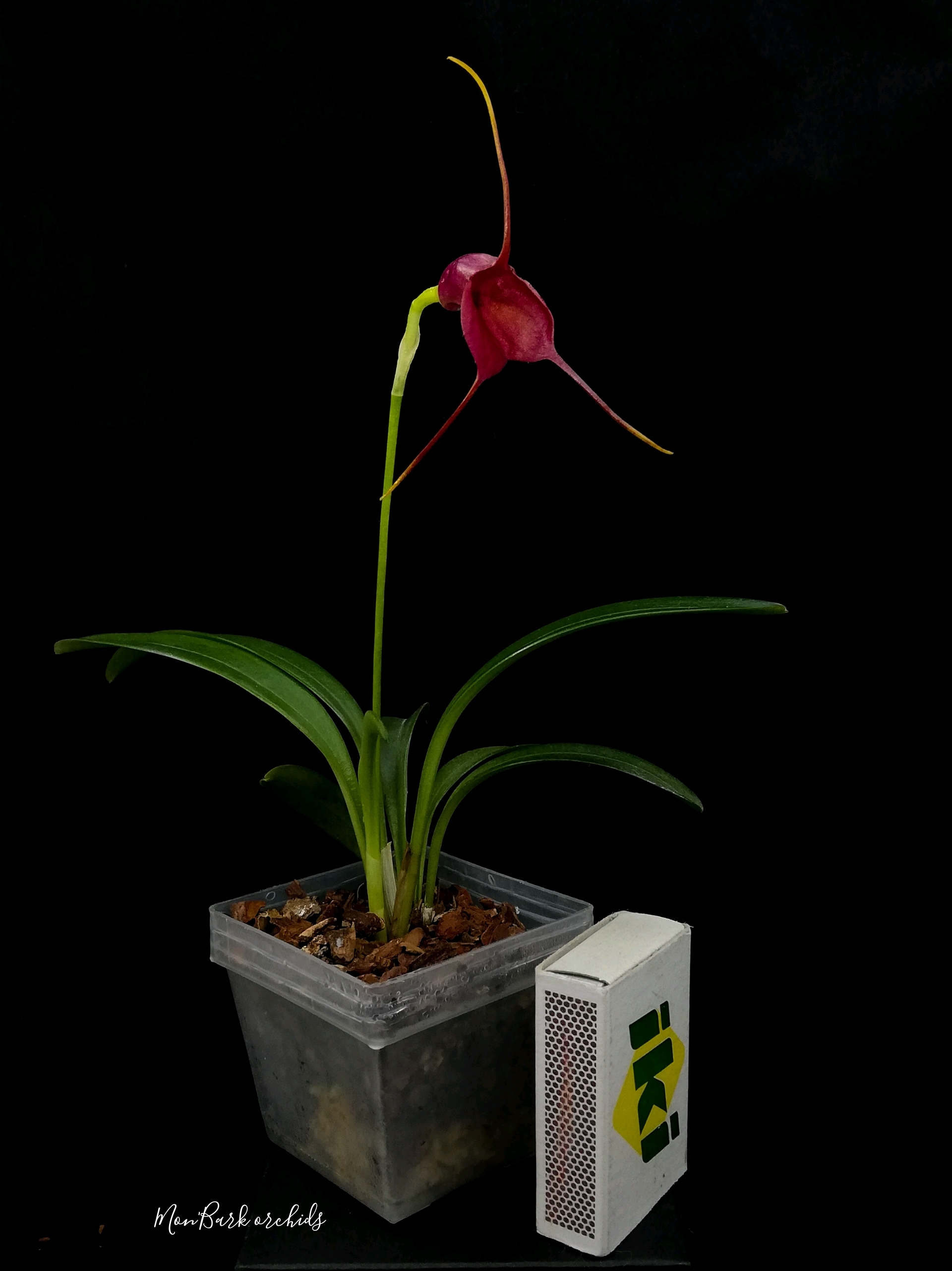 980f7265.jpg