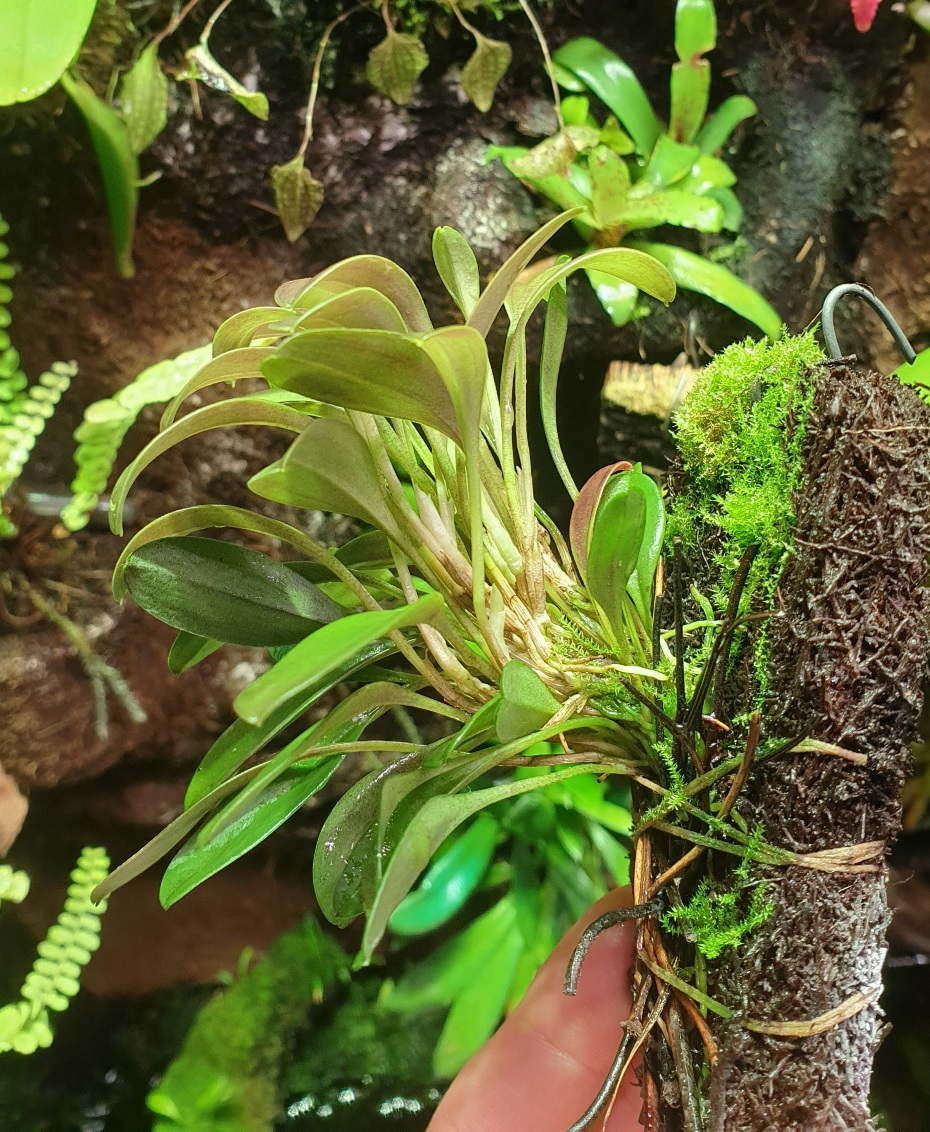 20201117_103346.jpg