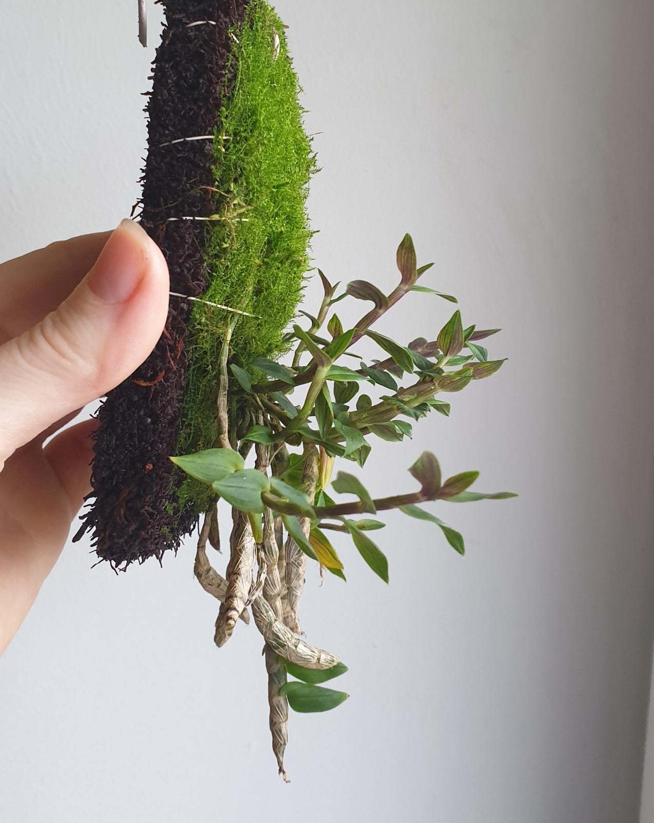 20201118_220137.jpg