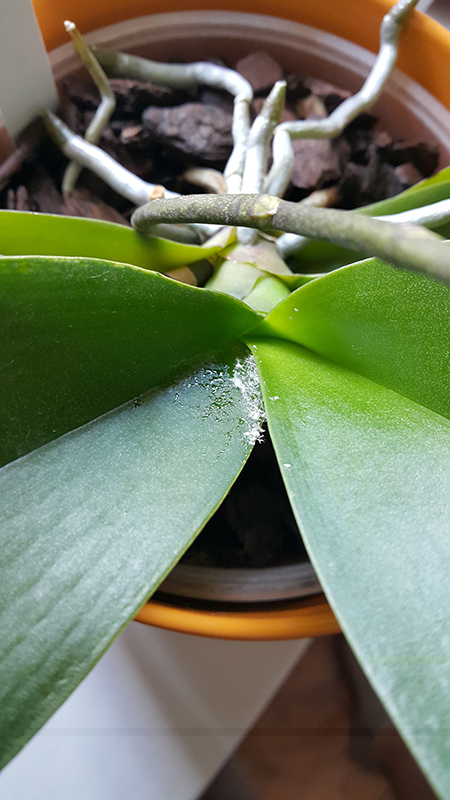 20160619_135938.jpg