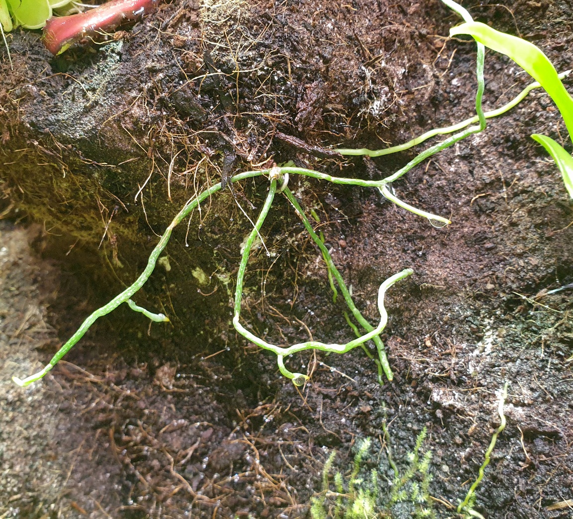 20201117_103427.jpg