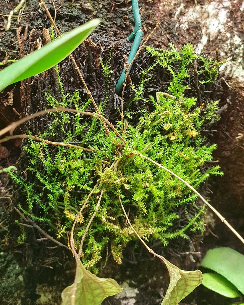 20201130_202926.jpg