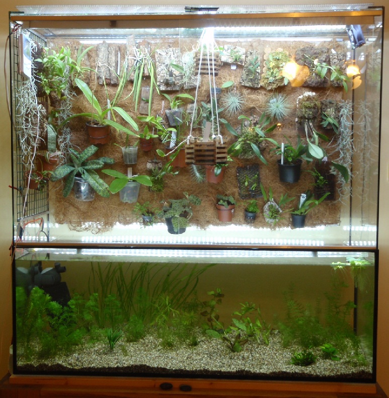 2012 11.jpg