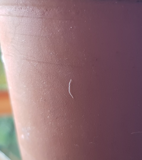 20191005_145142.jpg