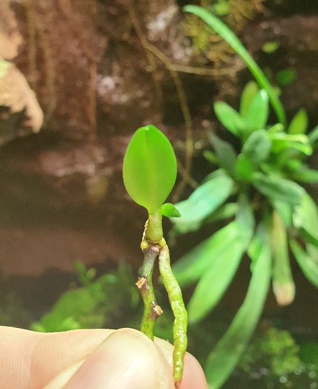 20201215_202554.jpg