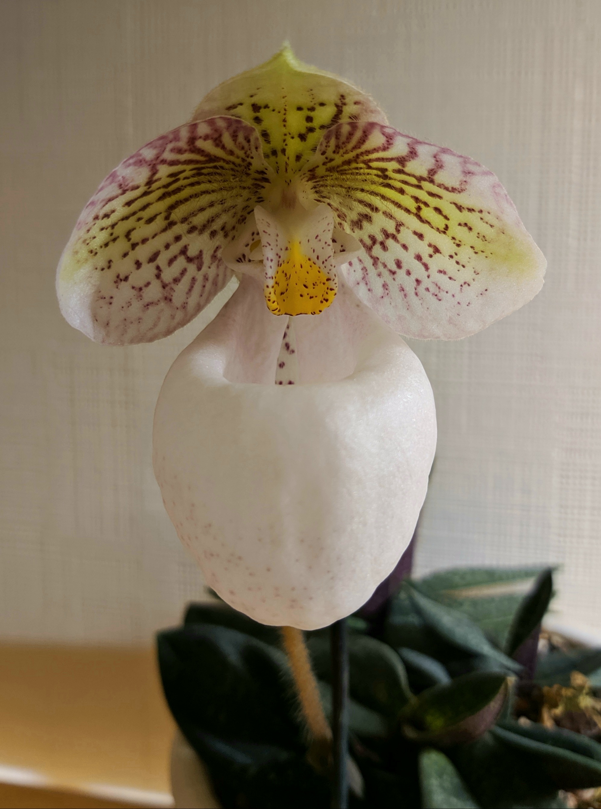 20201221_210556.jpg