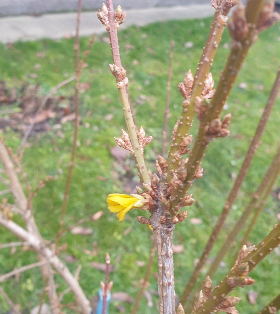 20201229_112458.jpg