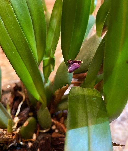 20201231_075938.jpg
