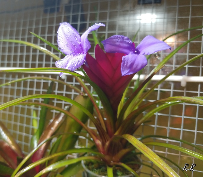 20181120_105028.jpg