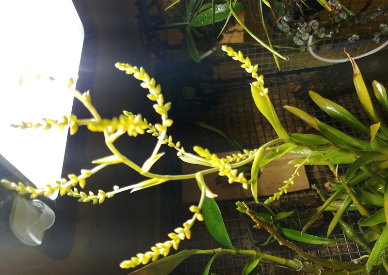 20191219_150520_HDR.jpg