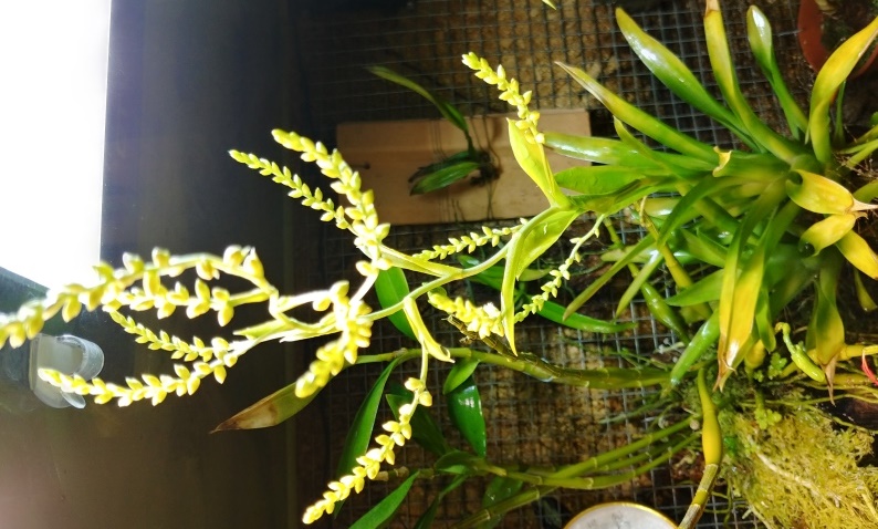 20191222_134127_HDR.jpg