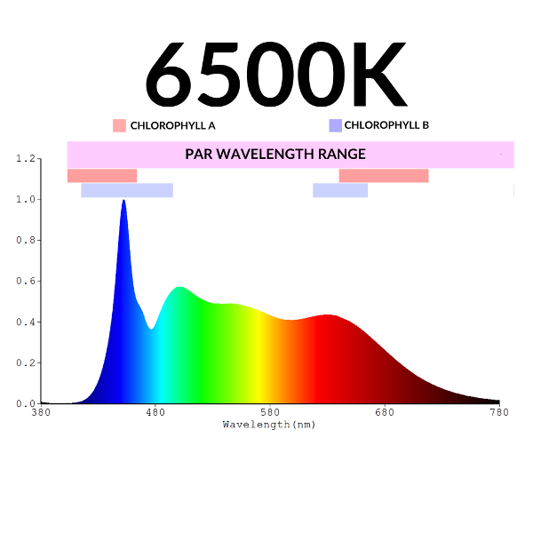 6500k-photo.png