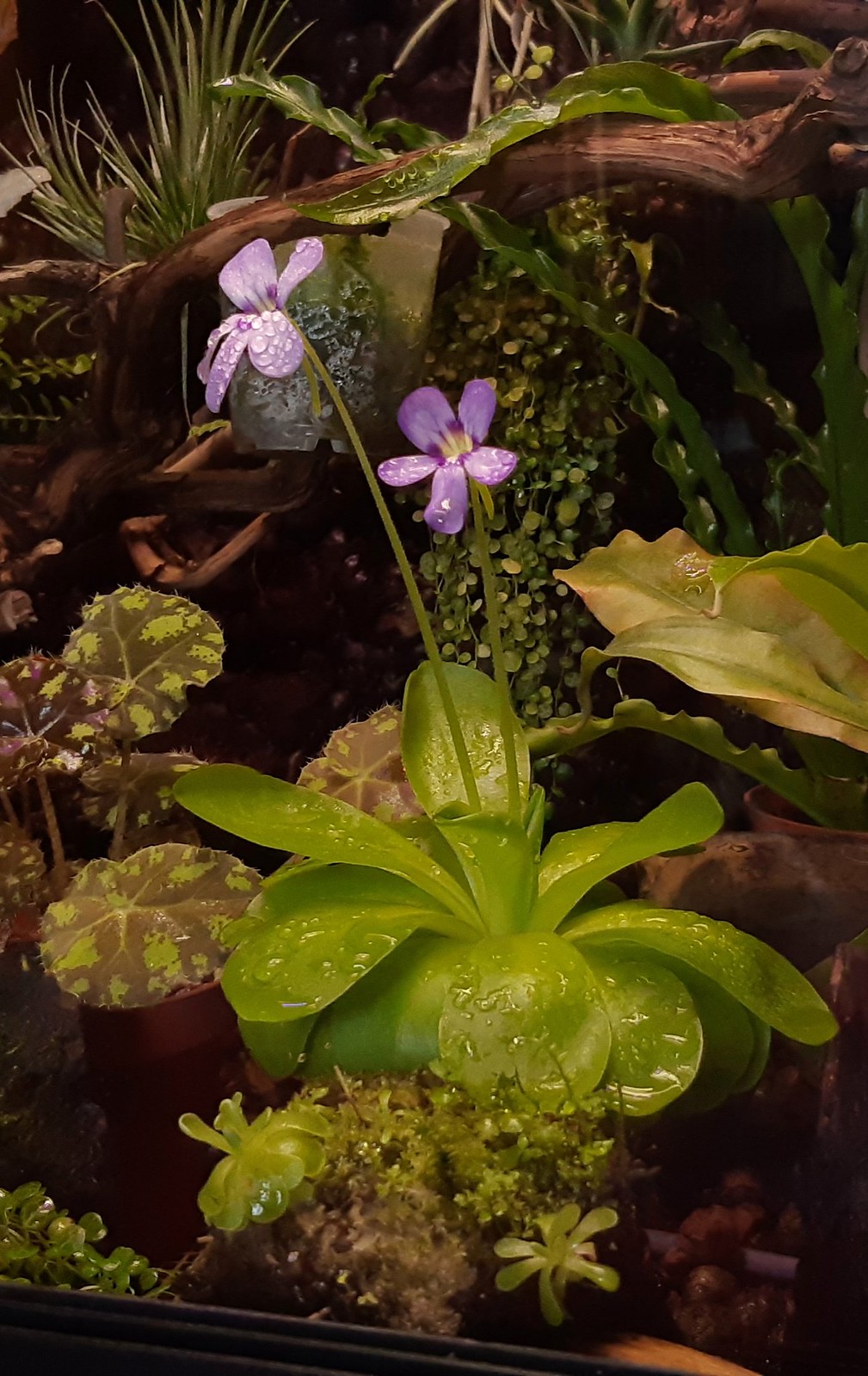 2019-07-03_06-20-20.jpg