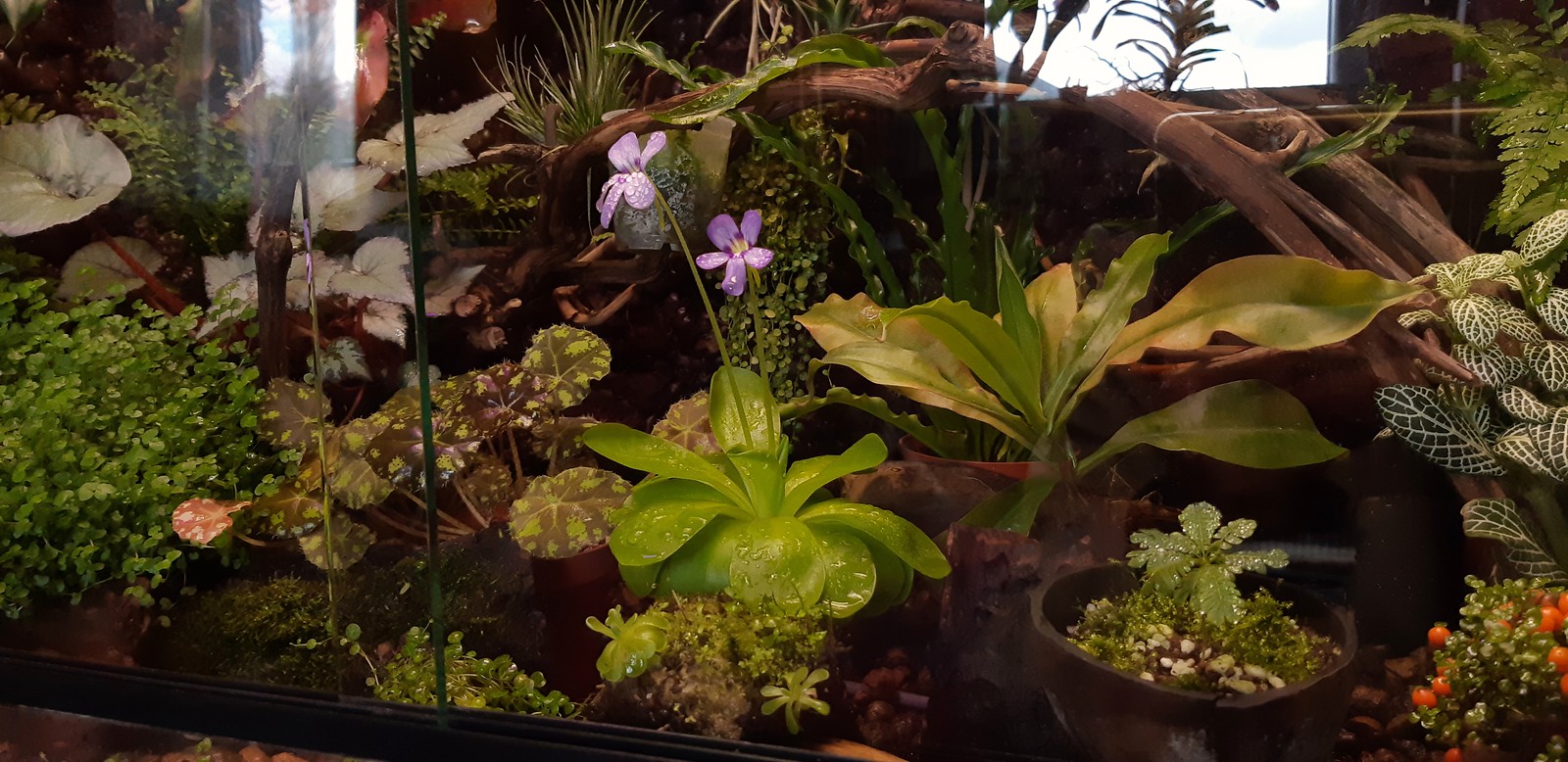 2019-07-03_06-20-28.jpg