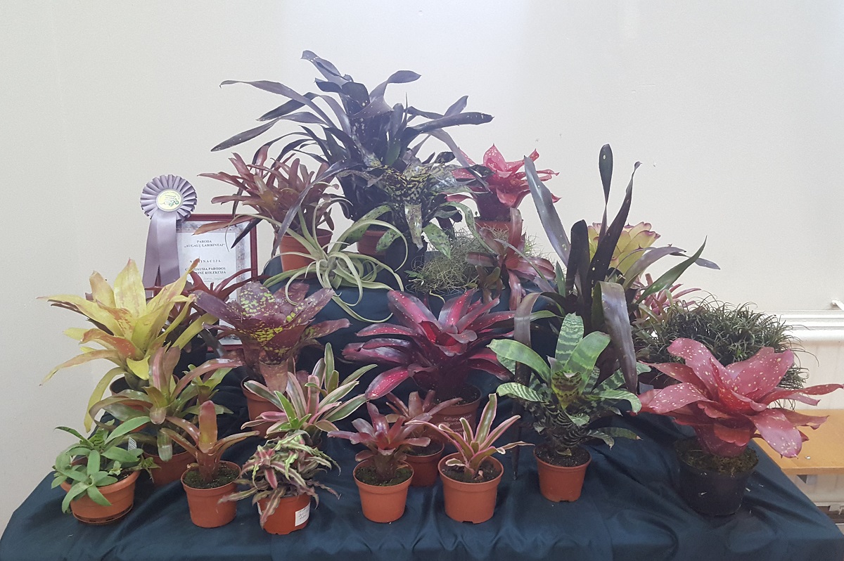 20170929.jpg