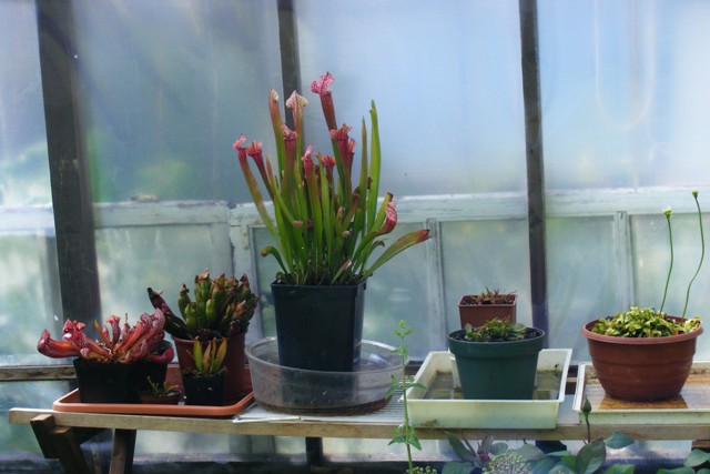 DSCF6394.JPG
