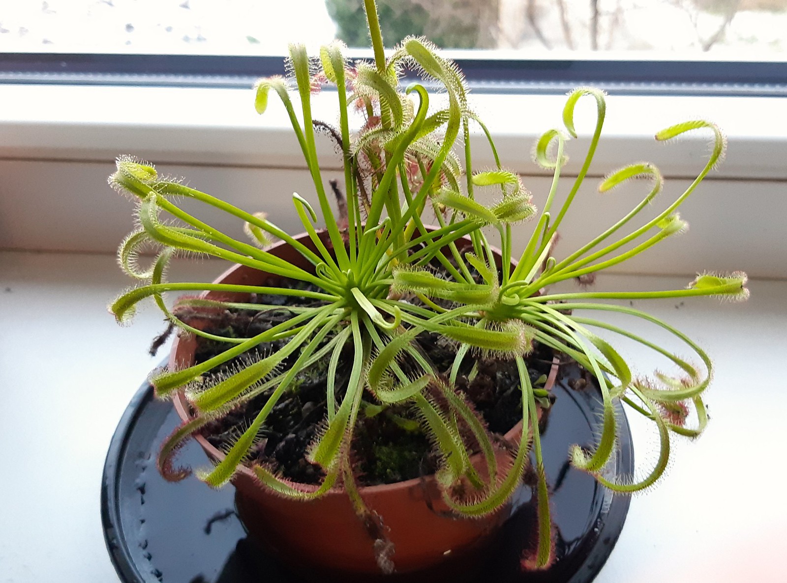 2019-12-03_03-46-09.jpg