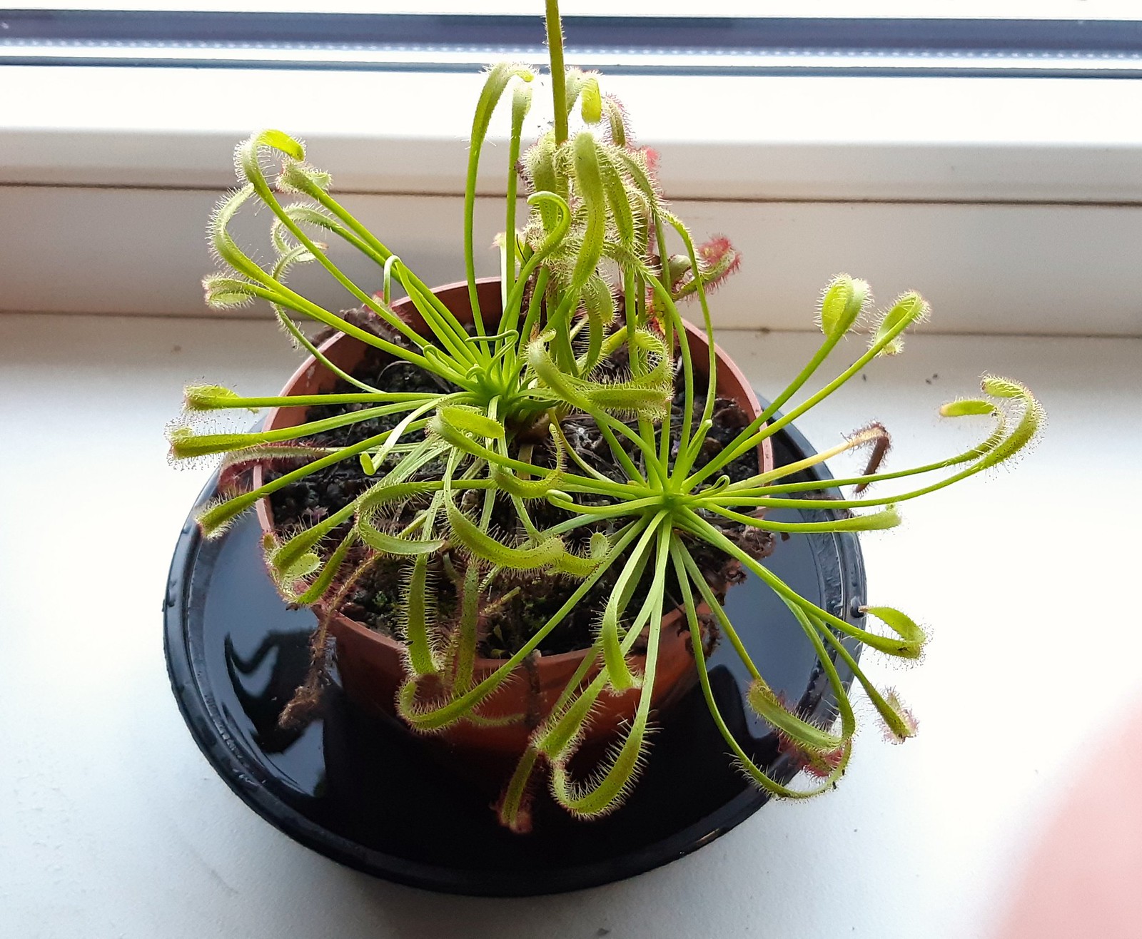 2019-12-03_03-49-47.jpg