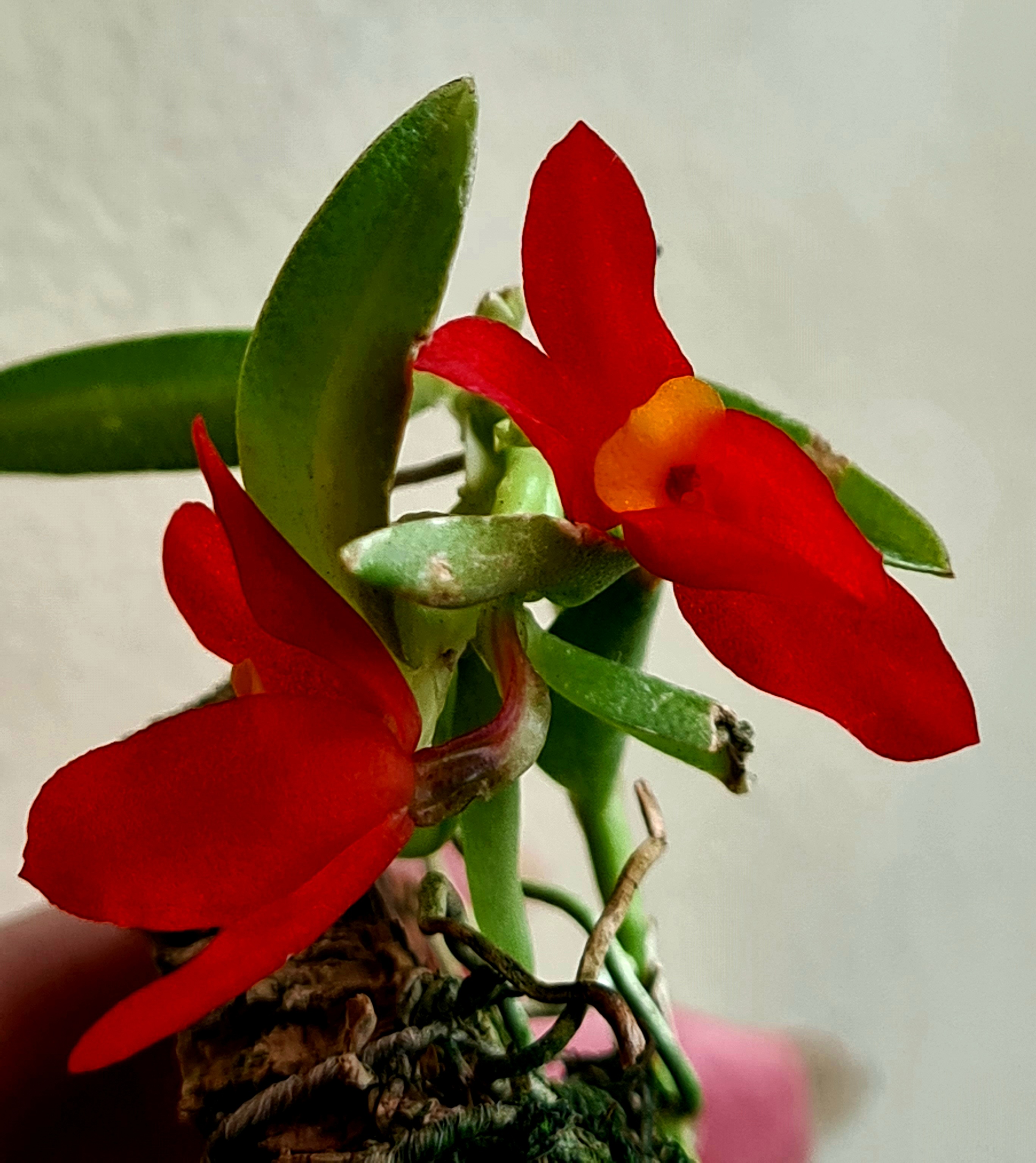 20210429_174118.jpg